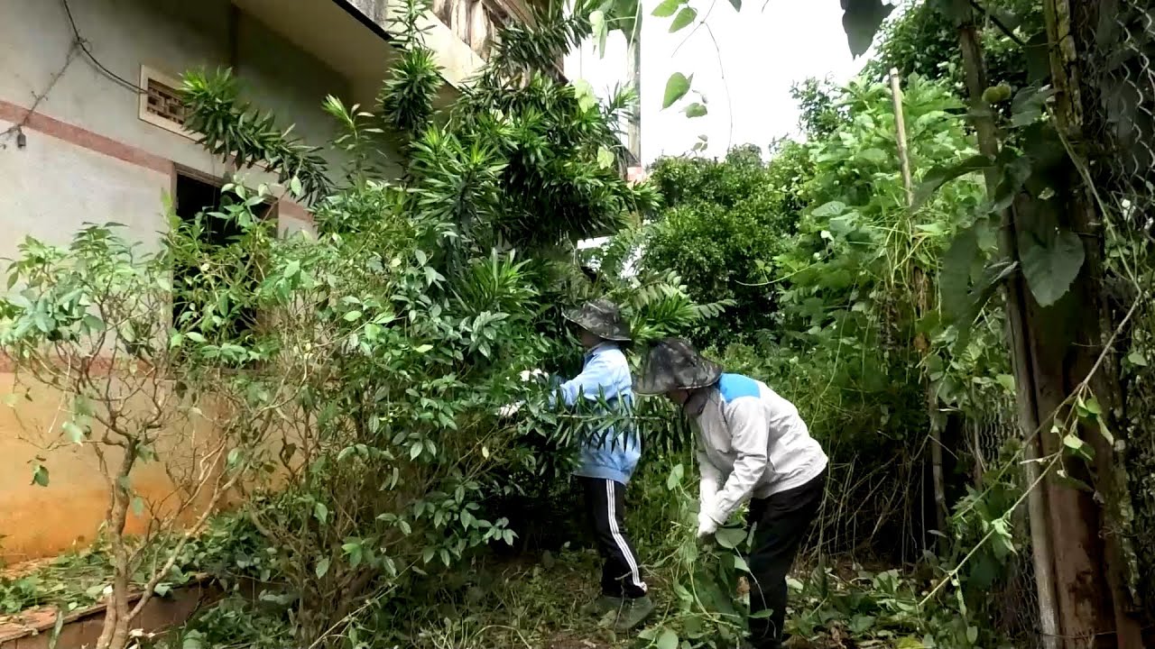 TIME LAPSE - We Cleaned The Villa Which Felt Like it Was in the Amazon Rainforest
