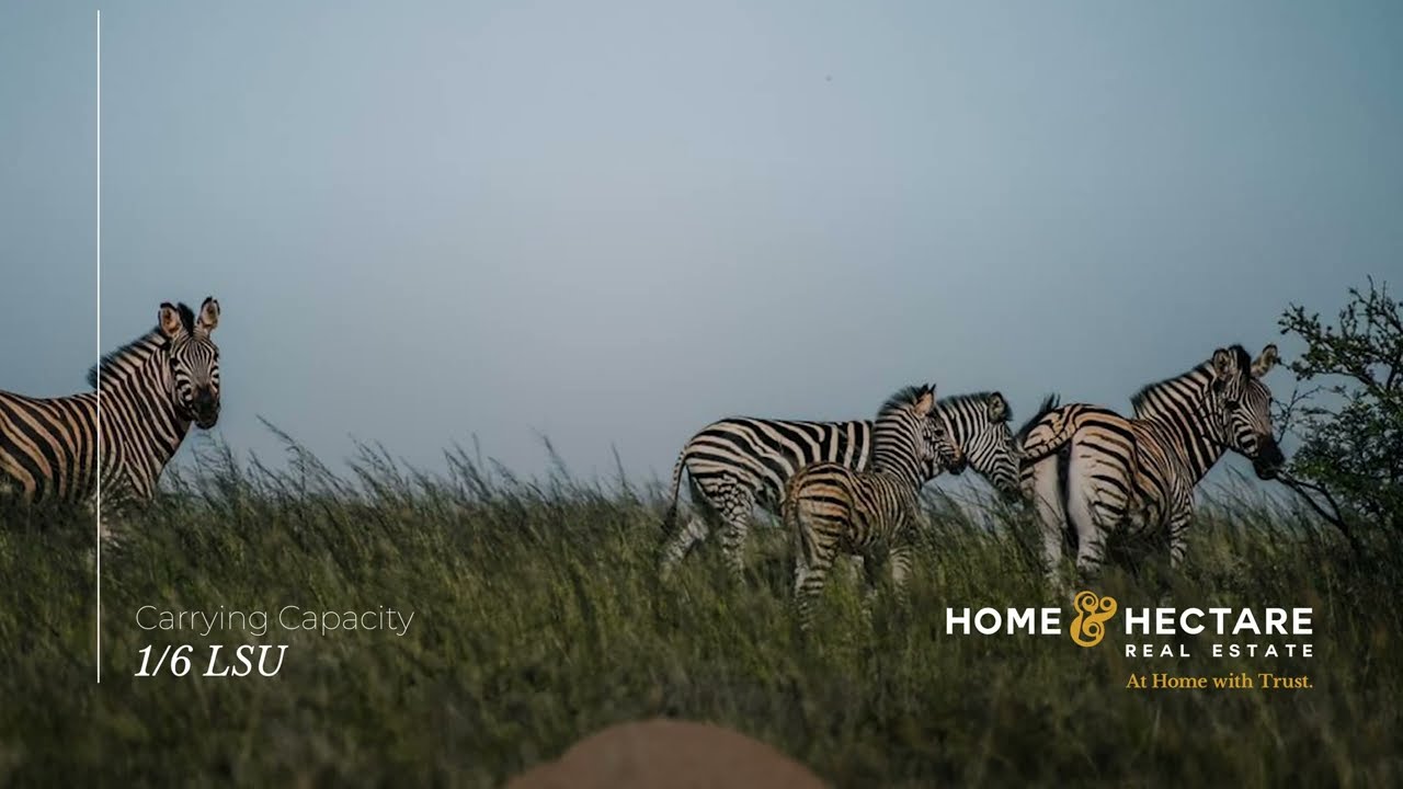 Monplaisir, Free State, Home & Hectare Rural