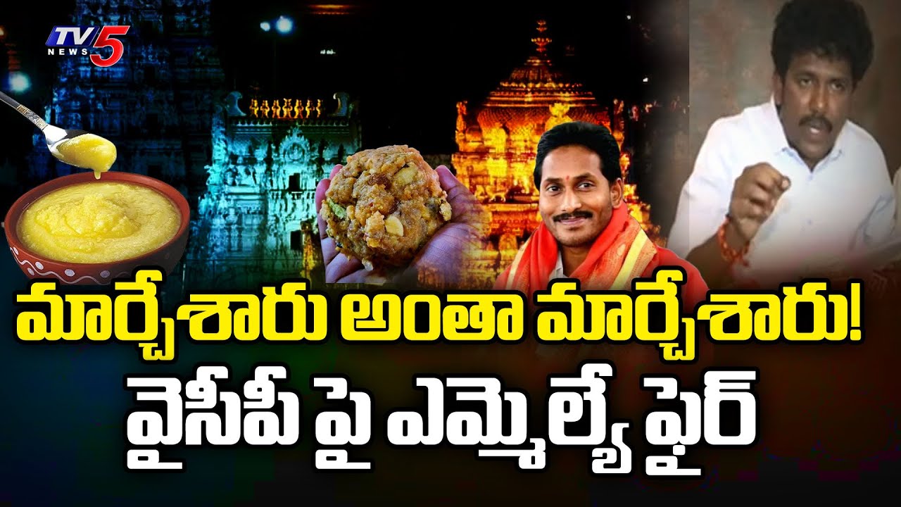TDP MLA MS Raju Strong Comments | CM Chandrababu | YSRCP | YS Jagan | AP News | TTD | TV5 News