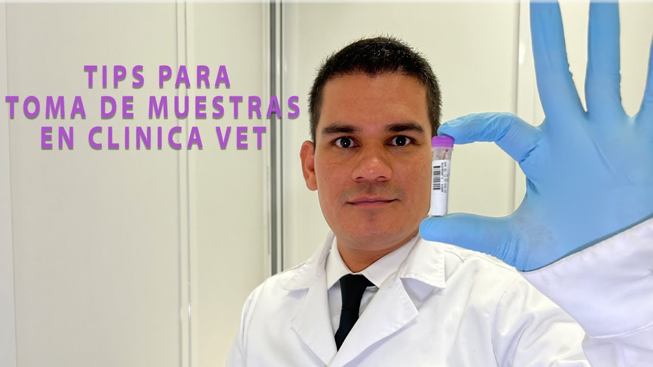 CONSEJOS PR&Aacute;CTICOS PARA TOMA DE MUESTRAS 💉【𝑀𝐸𝐷𝐼𝐶𝐼𝑁𝐴 𝑉𝐸𝑇𝐸𝑅𝐼𝑁𝐴𝑅𝐼𝐴】