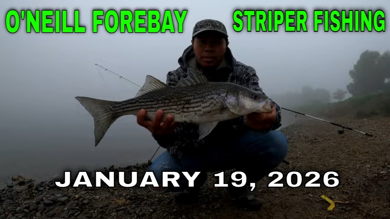 Striper Fishing Winter Rod Reel and Rig Setup for Big Fish!!(O'Neill Forebay Fishing)