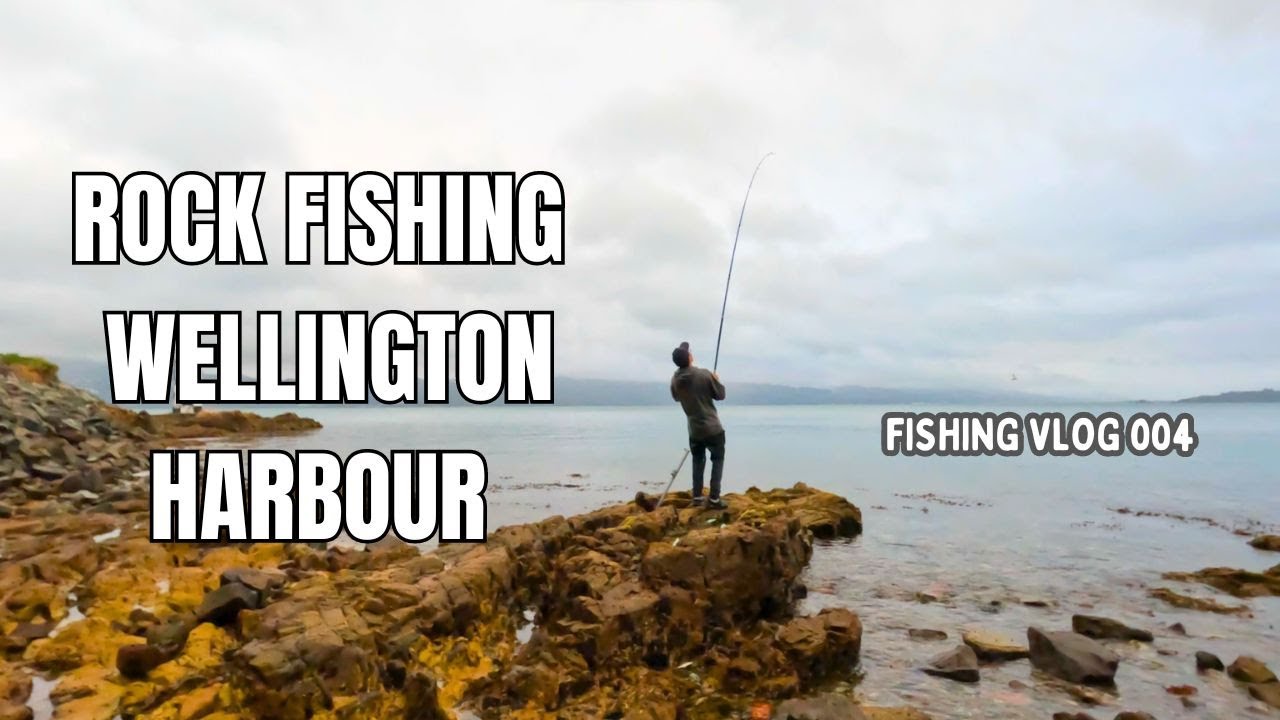 Catching One of Our Favorite Fish For Dinner | Saltwater Fishing | Wellington, NZ