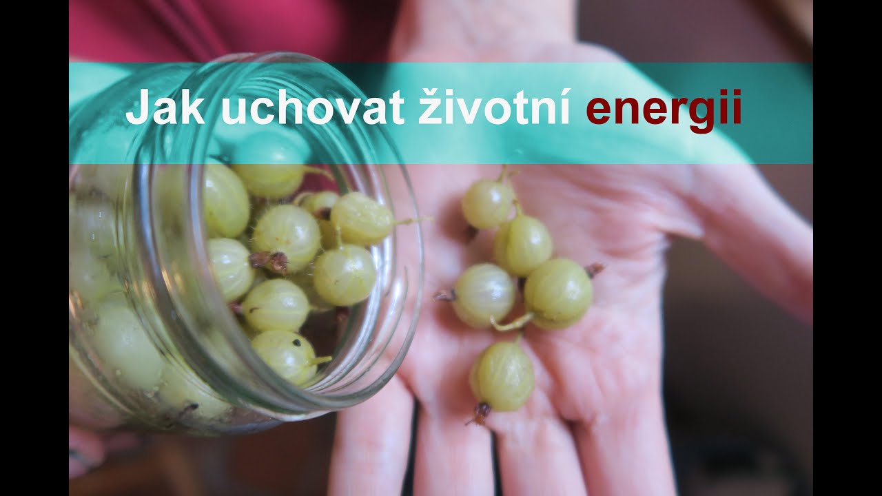 Anast&aacute;zie, konzervace a životn&iacute; energie I S&iacute;la pro život