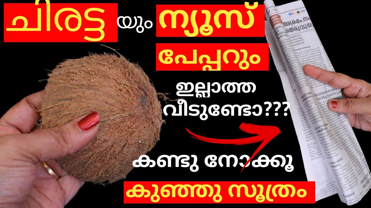 ചിരട്ടയും ന്യൂസ്‌പേപ്പറും ഇല്ലാത്തവീടുണ്ടോ?ഈ സൂത്രം നിങ്ങളെ ഞെട്ടിക്കും|CoconutShell News PaperCraft