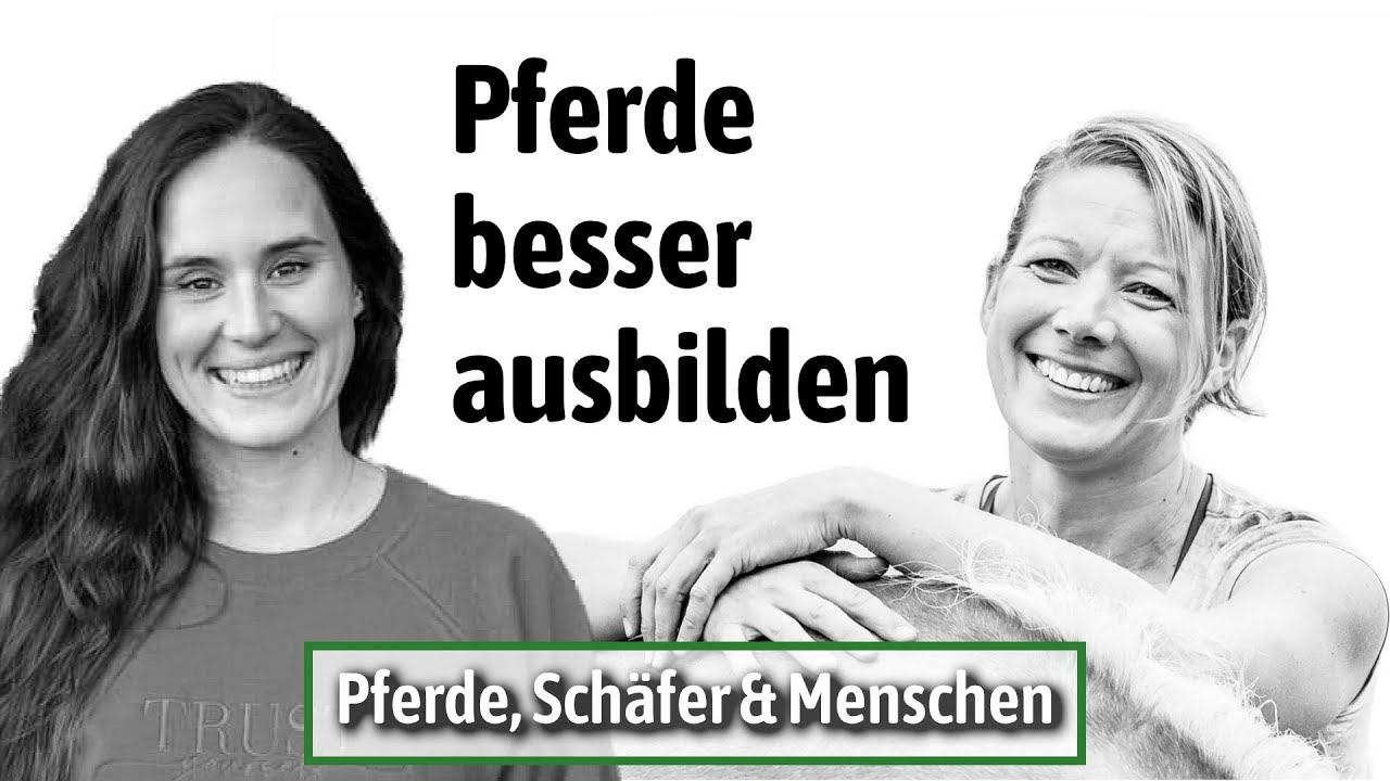 Der schwierige Weg lohnt sich – Jungpferde, Selbstständigkeit & Eigenverantwortung