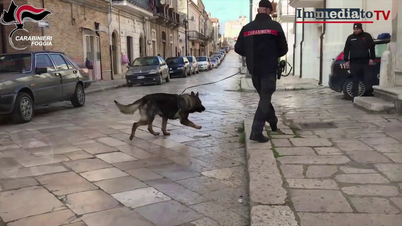 SAN NICANDRO GARGANICO: SGOMINATO  &ldquo; EL BARRIO &rdquo;. 4 PERSONE ARRESTATE PER TRAFFICO DI DROGA