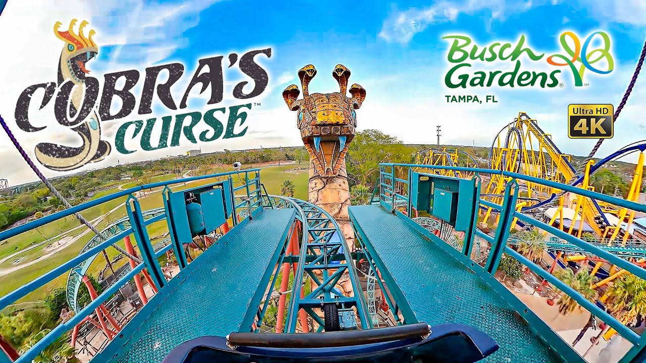 Cobra's Curse Roller Coaster On Ride Front Seat 4K POV with Queue Busch Gardens Tampa 2024 03 04