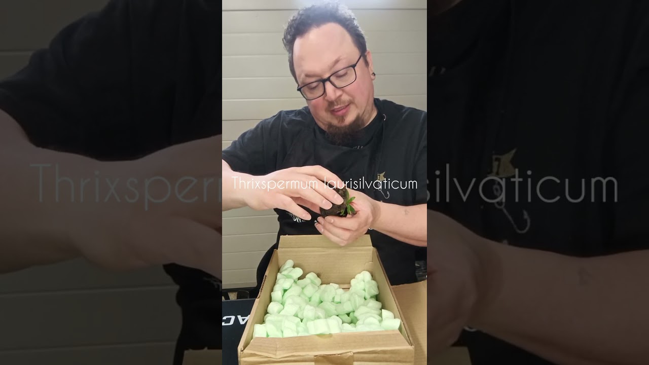 Unboxing plantmail from Tropiscape Orchids