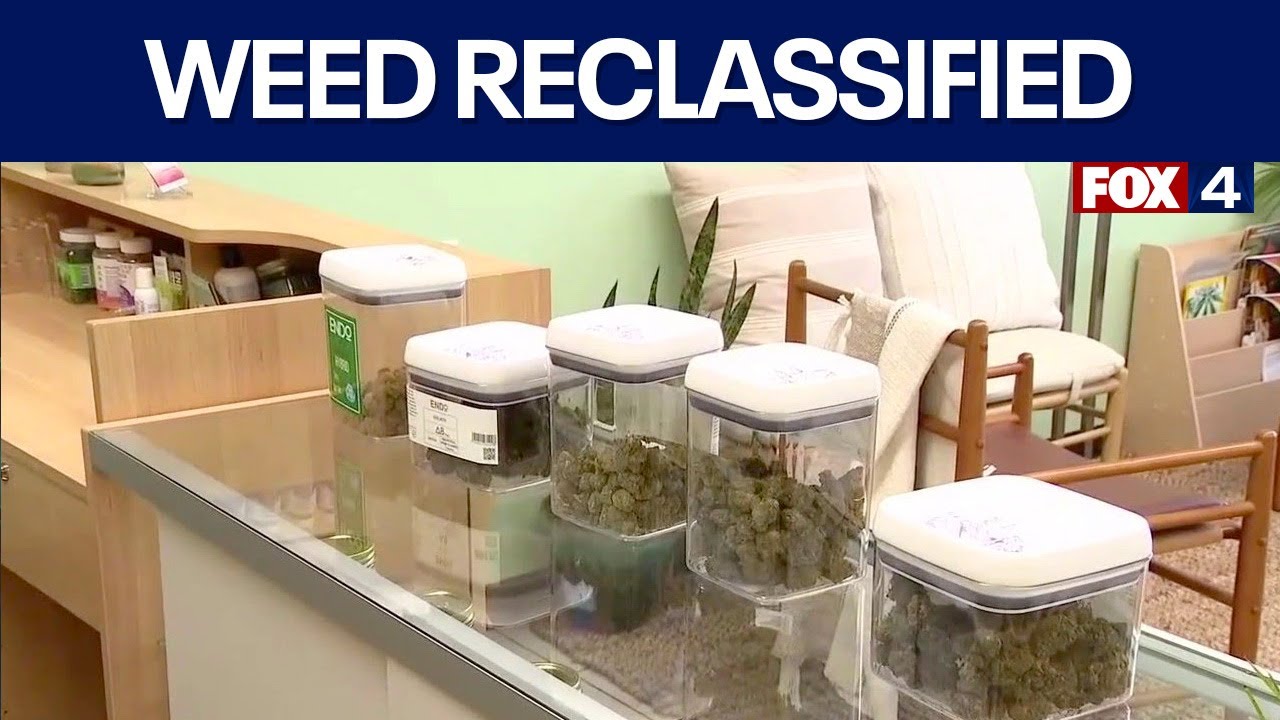 Trump signs executive order to declassify marijuana