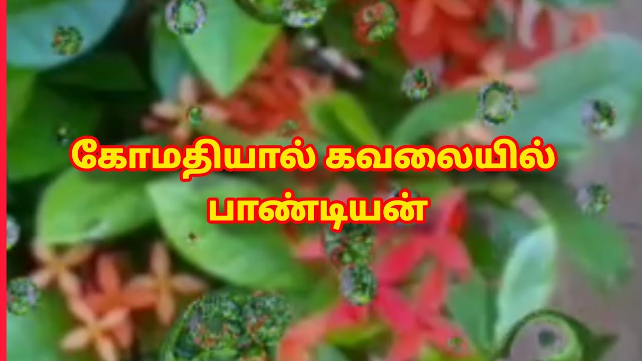 Pandiyan Stores-2 Prediction |30th to 31st January 2026|கோமதியால் கவலையில் பாண்டியன் |என் கணிப்பு 
