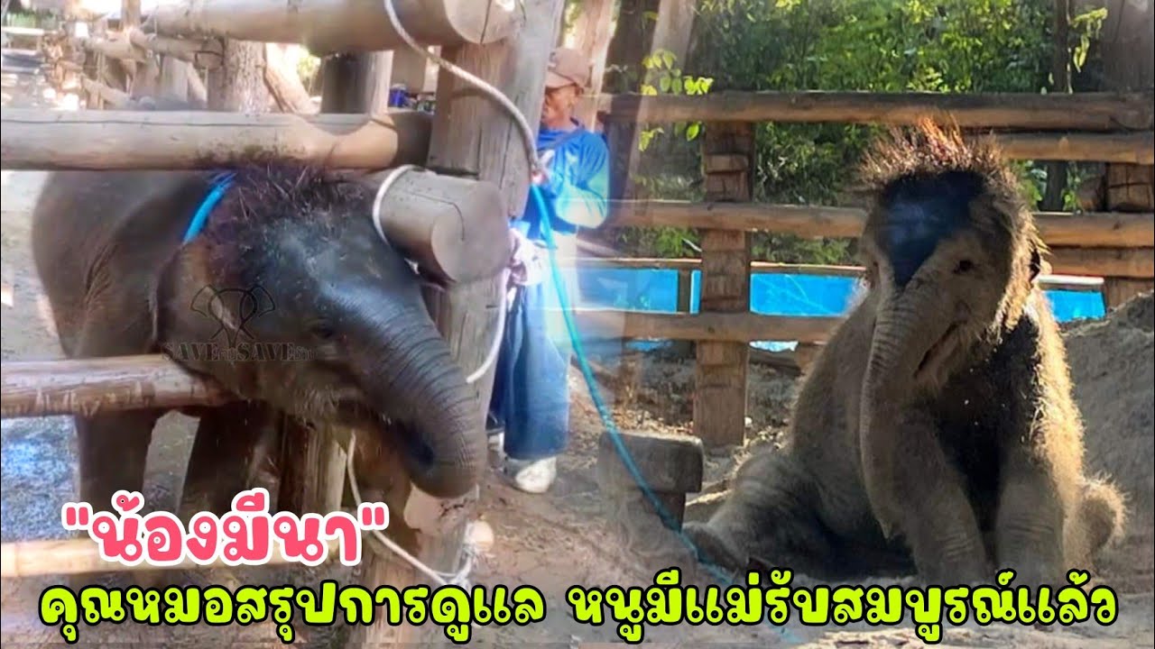 คุณหมอสรุปการดูแลปรับพฤติกรรม น้องมีนา ตอนนี้หนูมีแม่รับอย่างสมบูรณ์แล้ว หมอชมว่าหนูเก่งมากๆเลยค่ะ