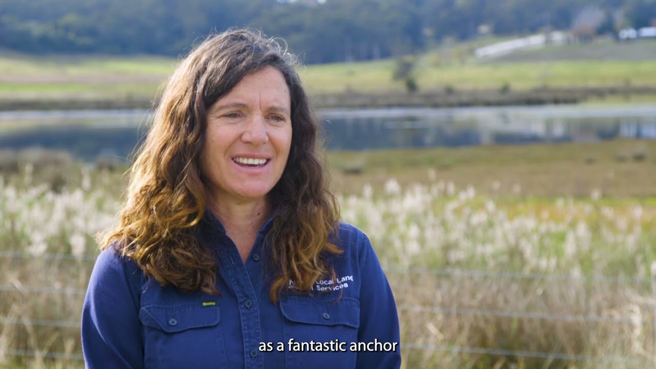 Farming for wetland regeneration - Milton Rocks Wetland