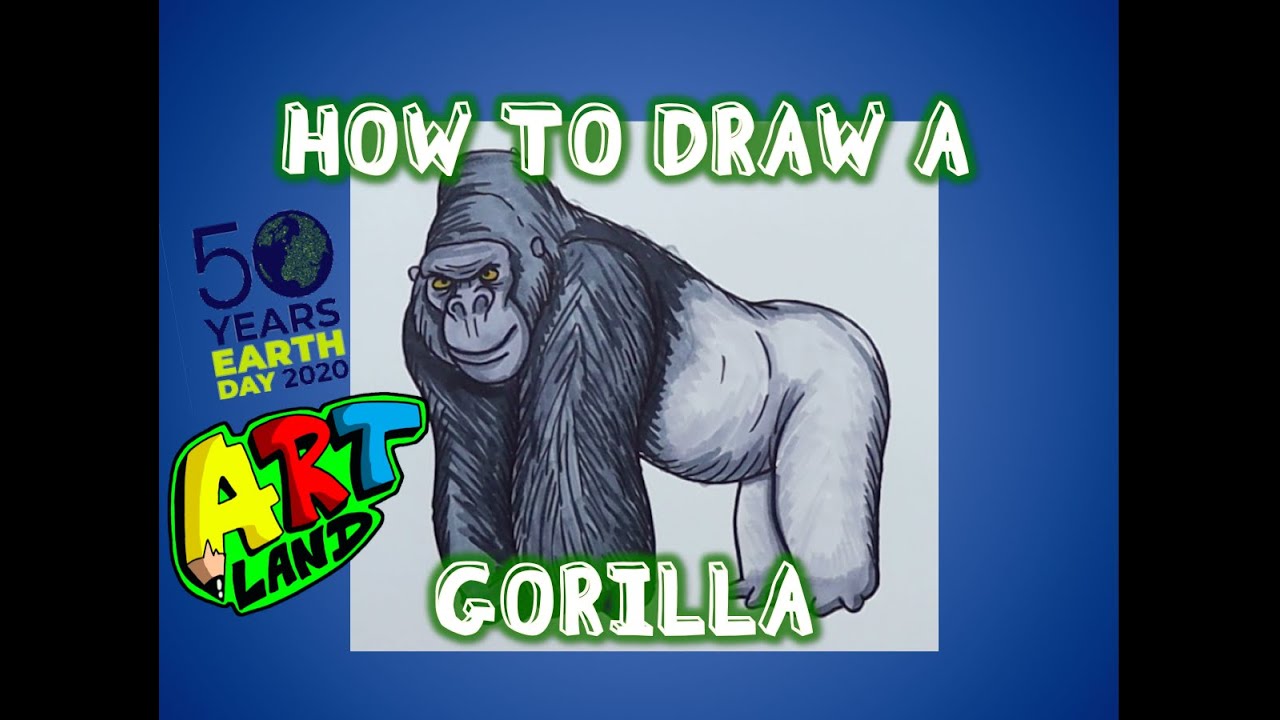 How to Draw a GORILLA