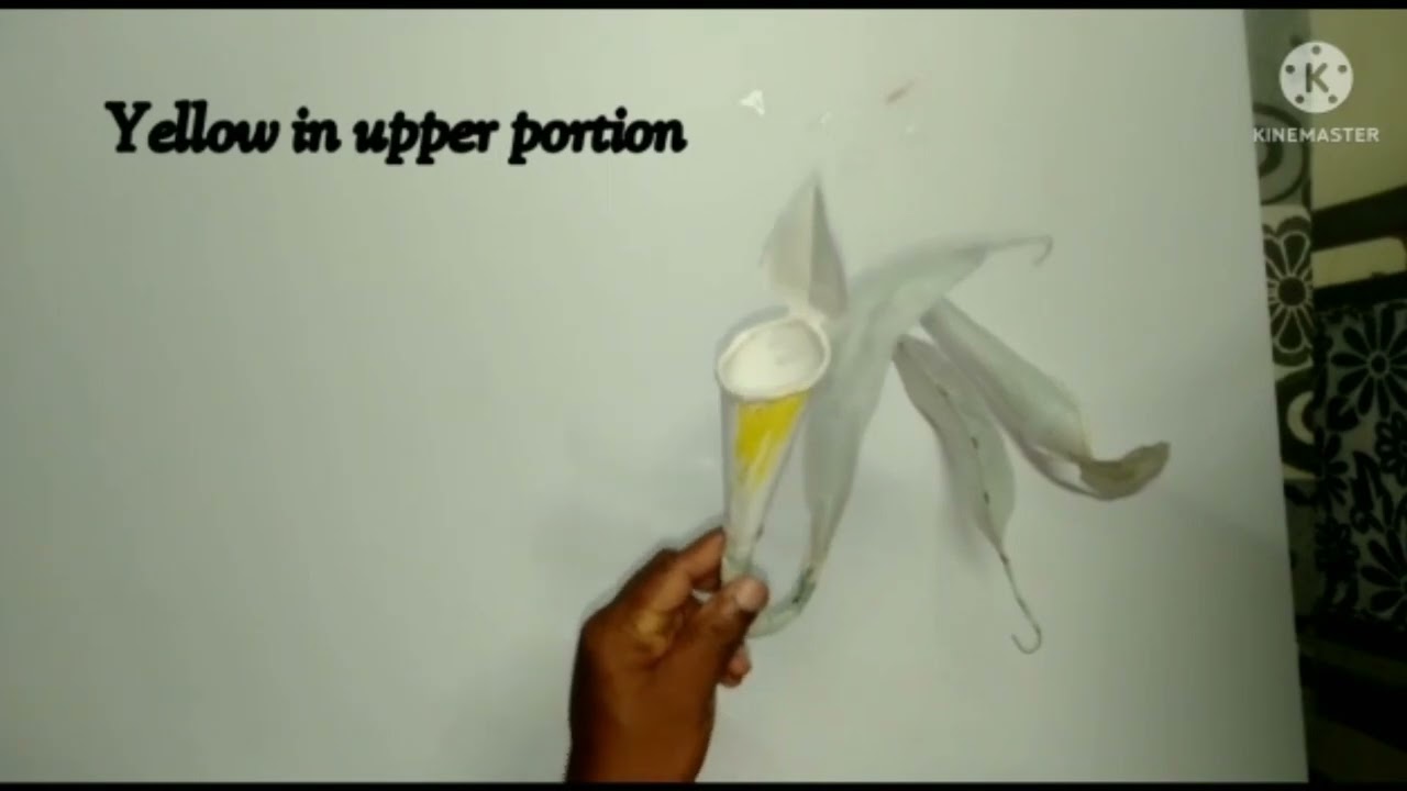 Making of Pitcher plant