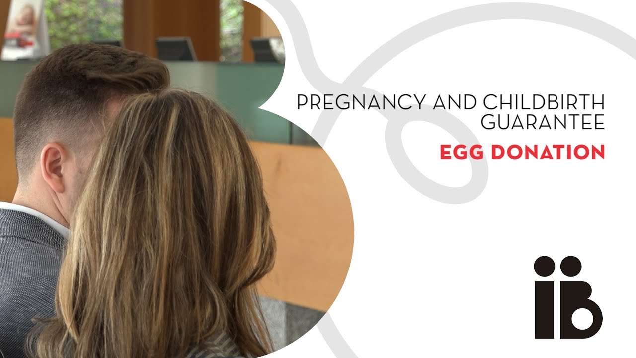 Pregnancy and childbirth guarantee. Egg donation