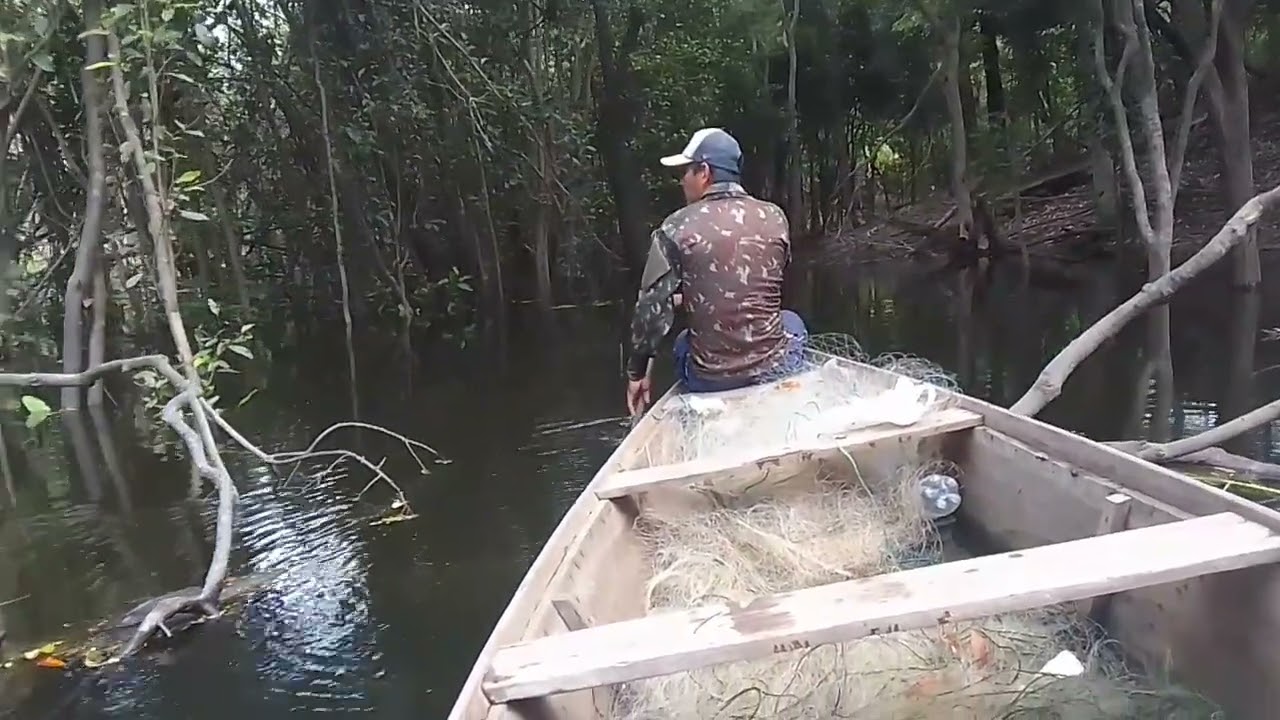 Pesca no interior #s&iacute;tio #Pesca #Amazonas 