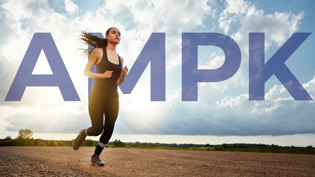 Boosting AMPK: Another reason to have Bioenergy Ribose in your line up