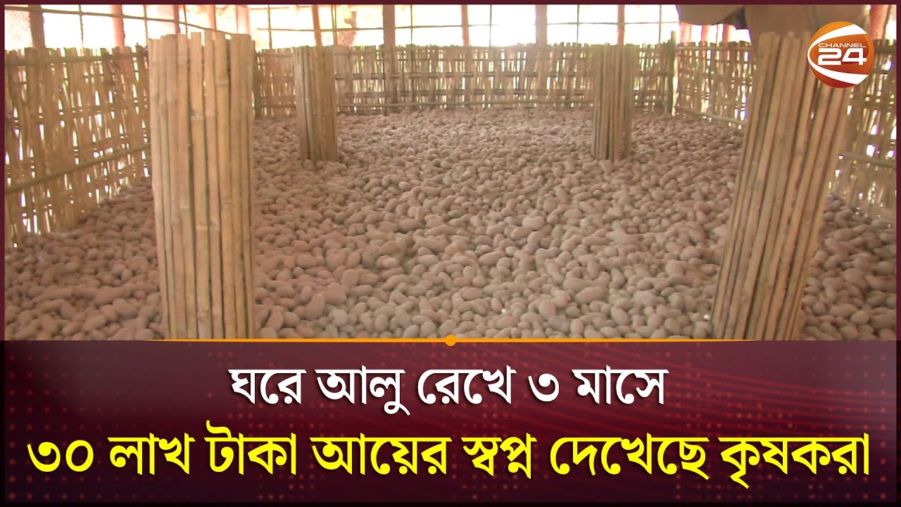 ঘরে আলু রেখে ৩ মাসে ৩০ লাখ টাকা আয়ের স্বপ্ন দেখেছে কৃষকরা | Rangpur | Channel 24