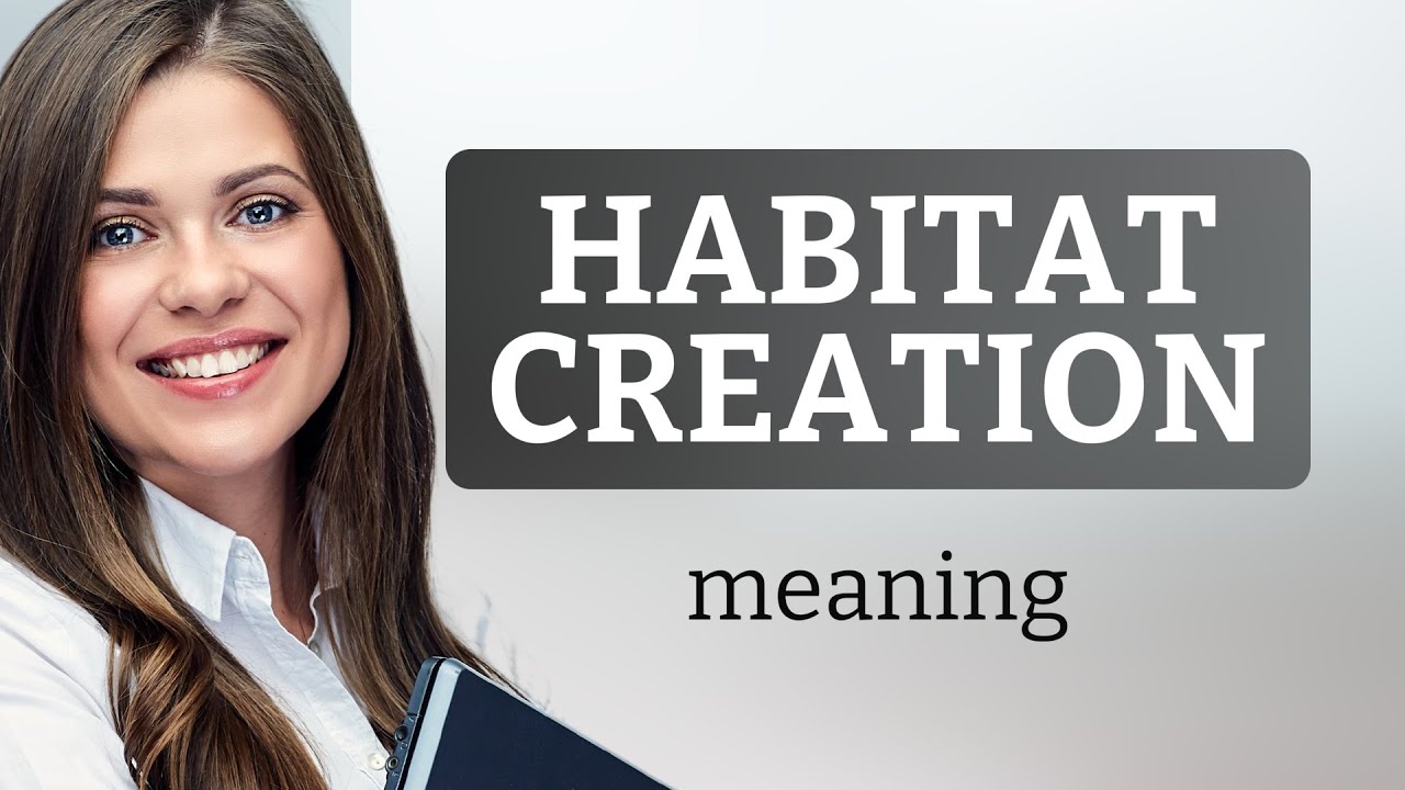 Habitat Creation: Crafting Homes for Nature