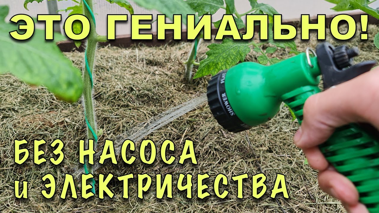 НАДОЕЛО ГОРБАТИТЬСЯ с ЛЕЙКАМИ! Сделал автополив из бочки БЕЗ НАСОСА и ЭЛЕКТРИЧЕСТВА