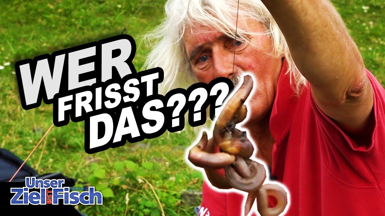 HOFFNUNG auf GROßE FISCHE - SO SPANNEND ist GRUNDANGELN - JÖRG OVENS - Unser Ziel ist Fisch
