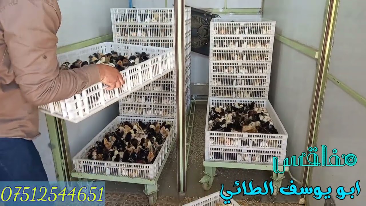 مفقس حجم  6600 بيضة صناعة عراقية بامتياز اوروبي واجهزة اوربية