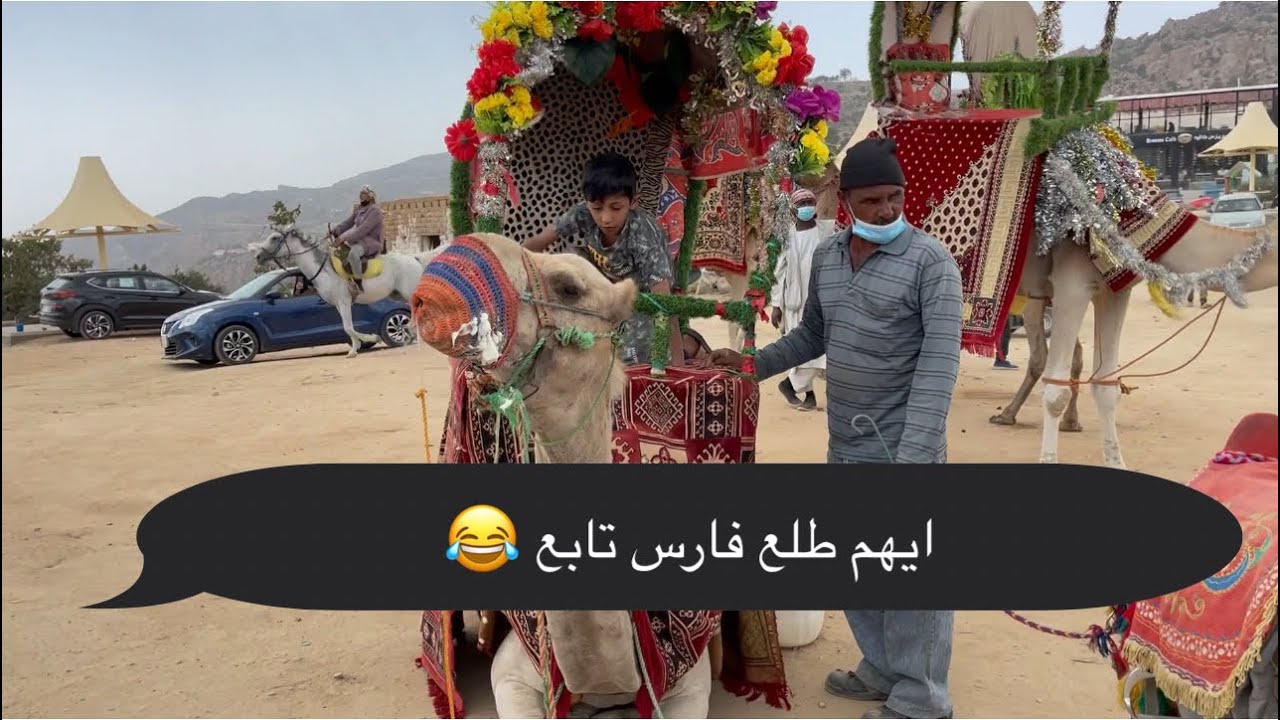 ايهم خايف من الجمل تحصلون سنابي بالوصف والتعليقات حياكم 🤣🤣