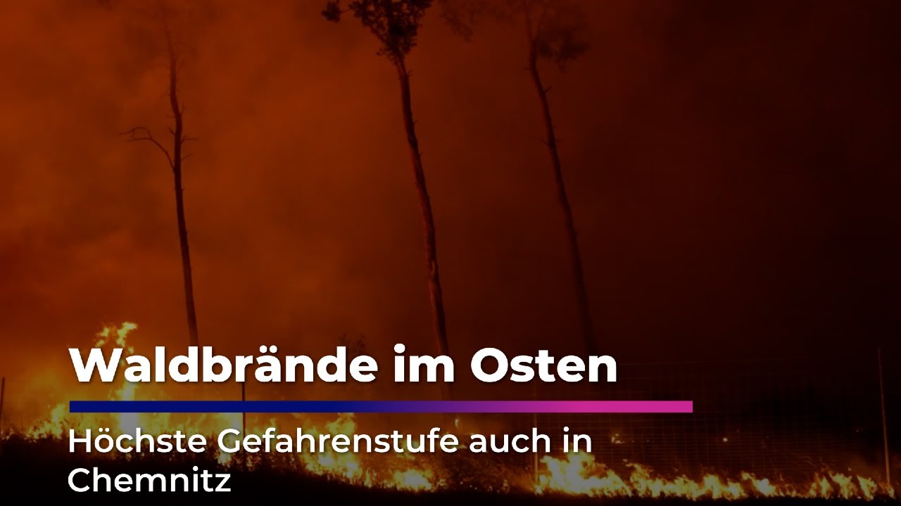 Waldbrände im Osten - Höchste Gefahrenstufe auch in Chemnitz