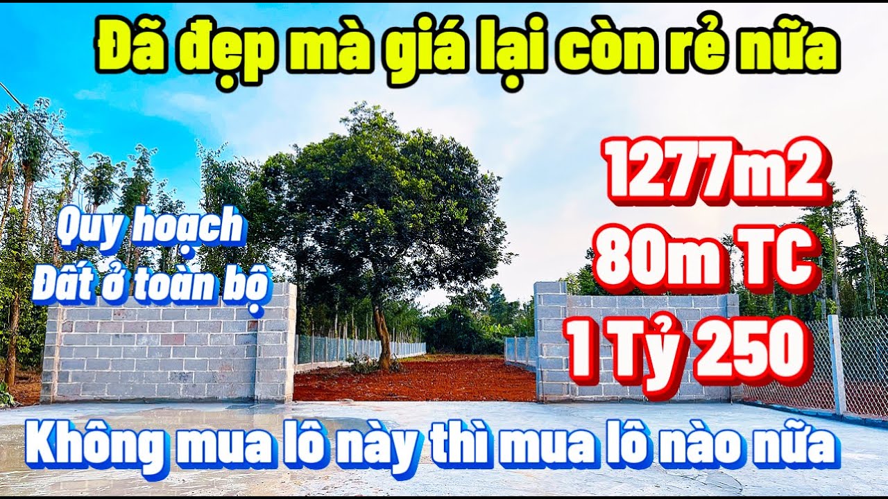 Đất vườn giá rẻ !! Cuối năm chủ cần tiền bán rẻ đất vườn đã xây tường rào xung quanh chỉ nhĩnh 1 Tỷ.
