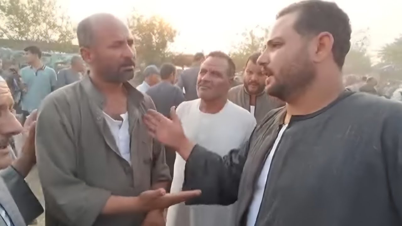 المعلم مرزوق بطه اشتري البقره من ارضية السوق في اقل من ٤ دقائق وبكره لما نشوف اخرتها معاه