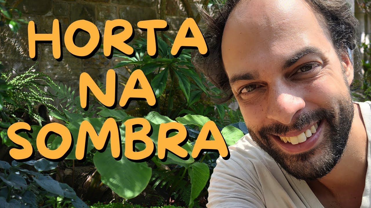 Alimentos para Plantar na Sombra - Mais Comida em Casa