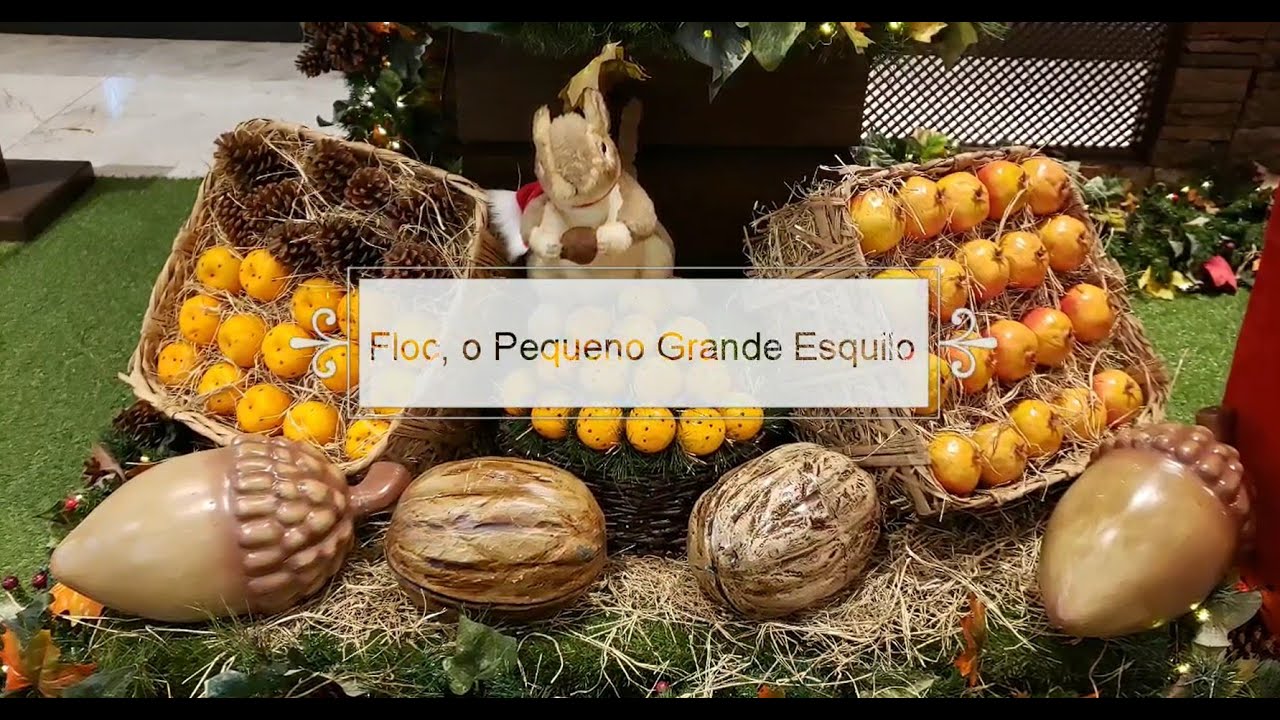 Floc, o Pequeno Grande Esquilo