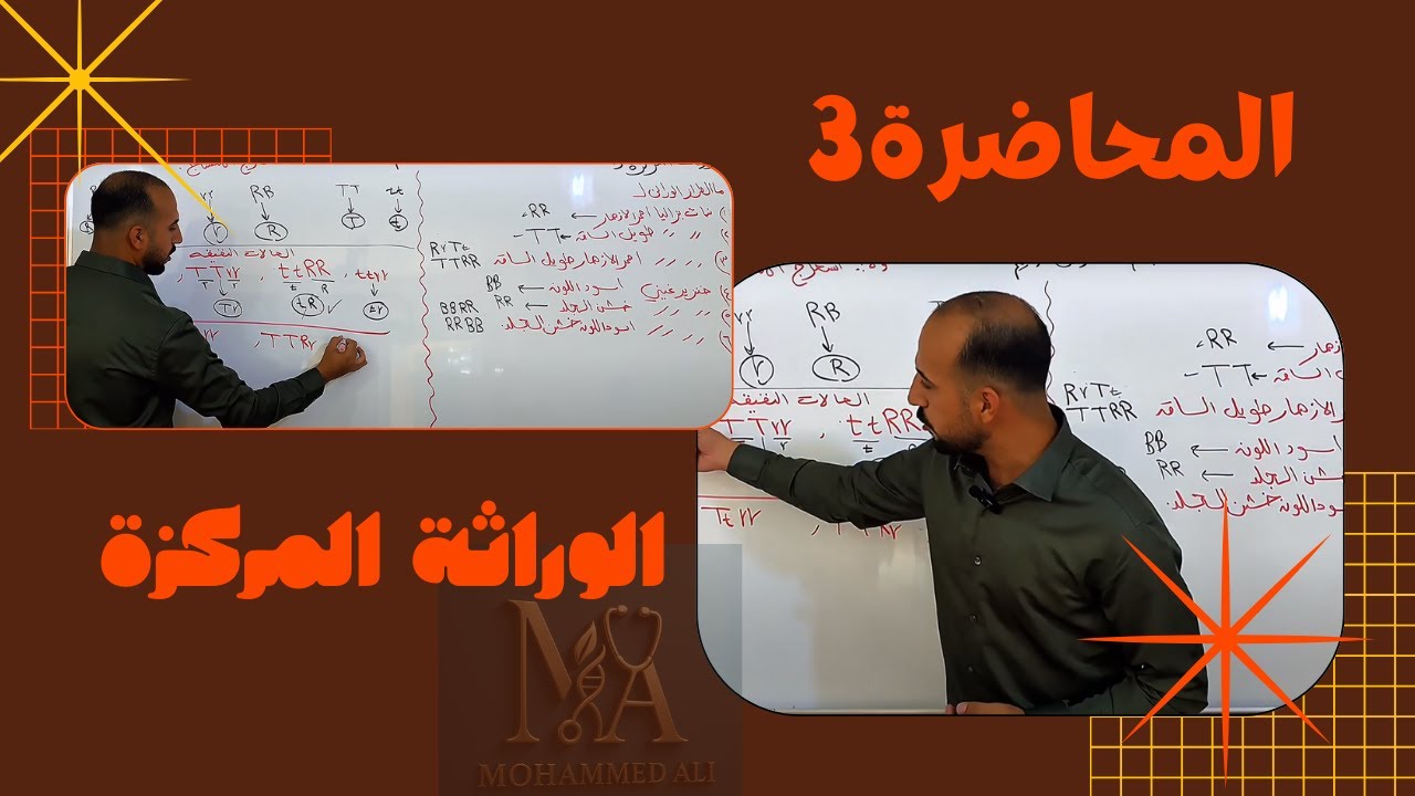 الوراثة المركزة 3