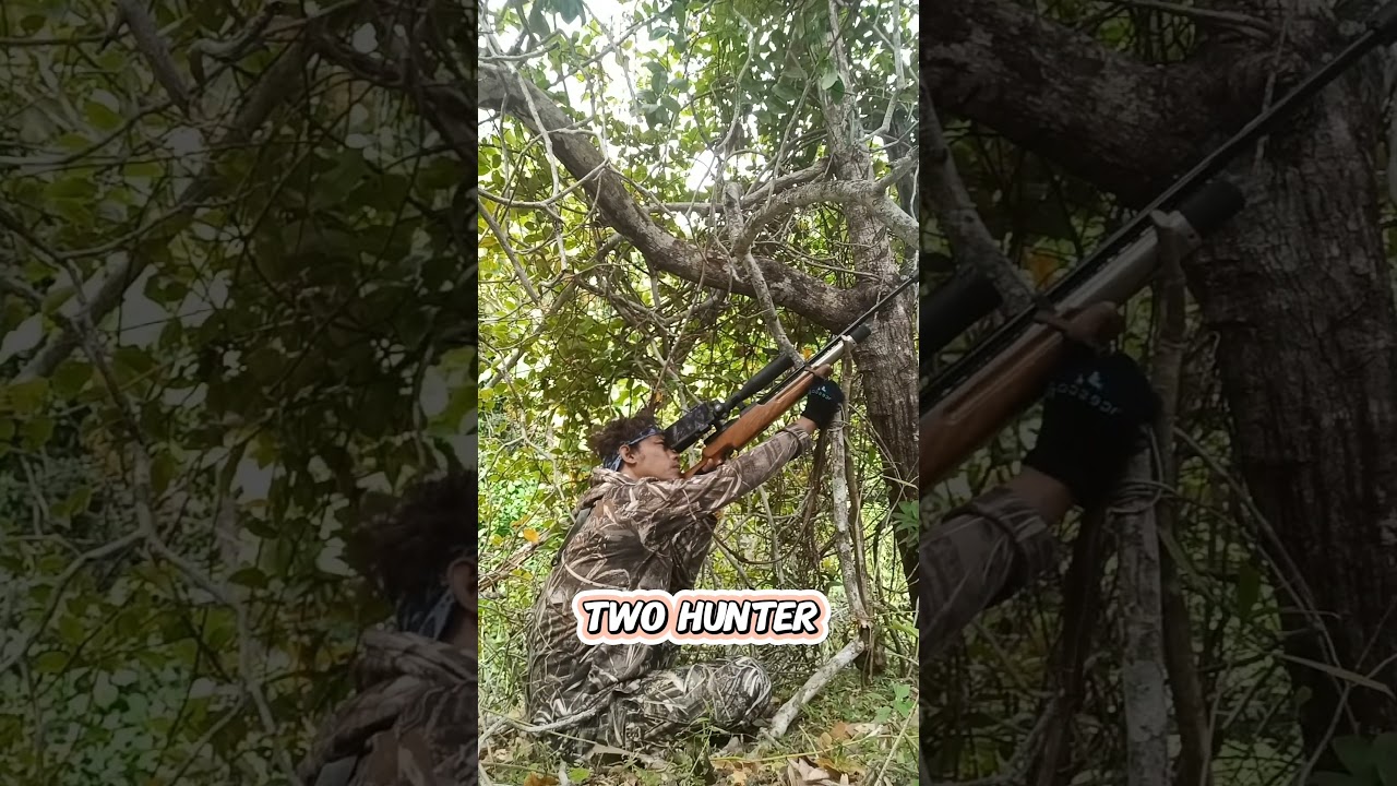 berburu punai#shoot #berburupunaiterbaru #berburu #berburupunai #berburuburungpunai #hunting #punai