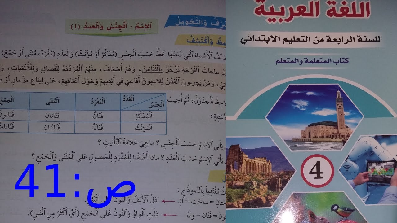 تمارين ص41 من كتاب الواضح في اللغة العربية
