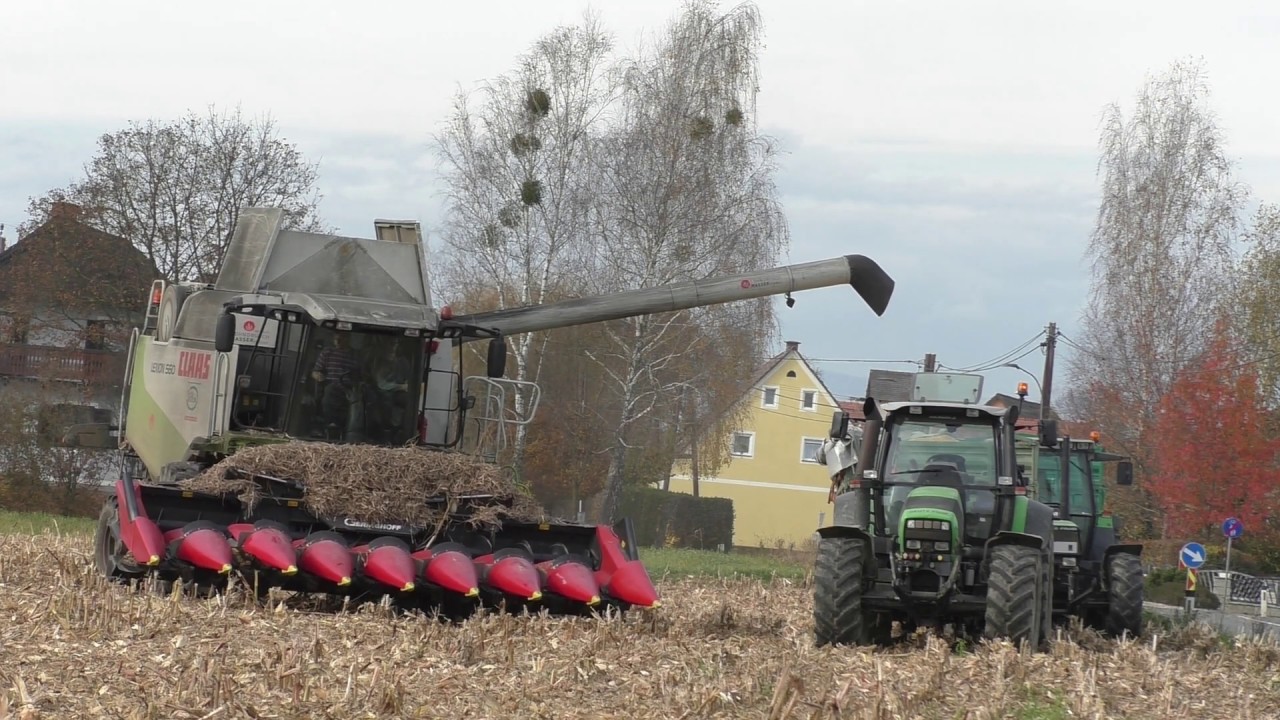 Mais Ernte 2019 Körner Mais Dreschen in  der Steiermark mit Claas Lexion 560 und 8 reihigen