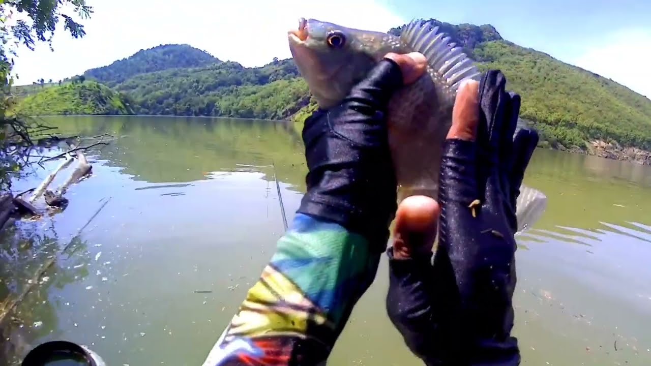 Waduk Bendo Ponorogo Surganya Pemancing Nila Babon
