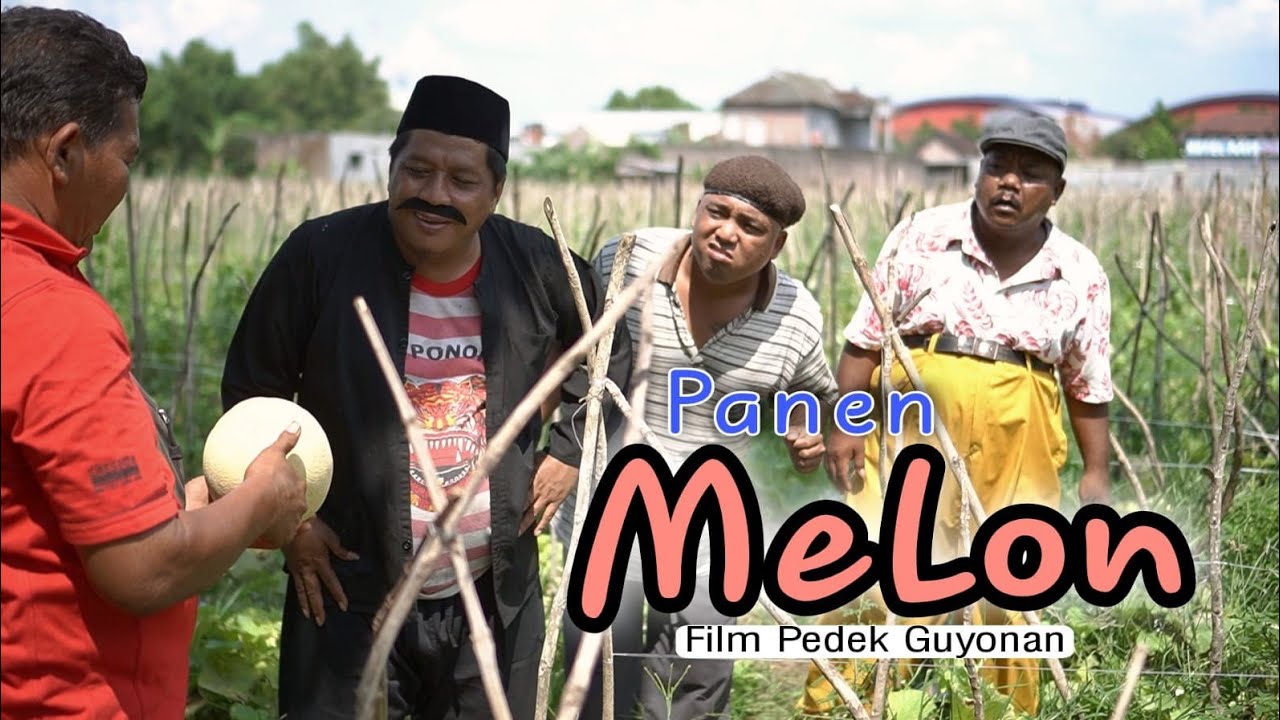 MELON CAP KUJANG BERSAMA WOKO CHANNEL TERBARU