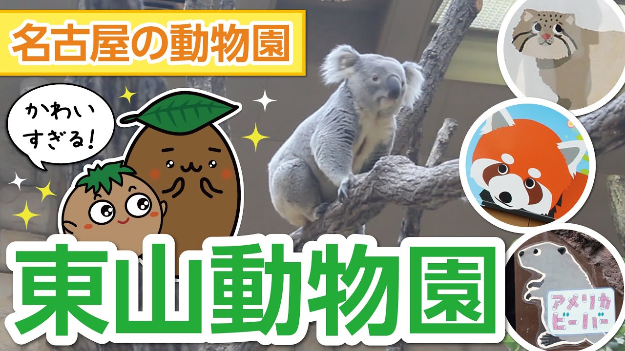 【愛知｜東山動植物園】秋の東山動物園でかわいい動物を見学しました！【ひろガリ工房】