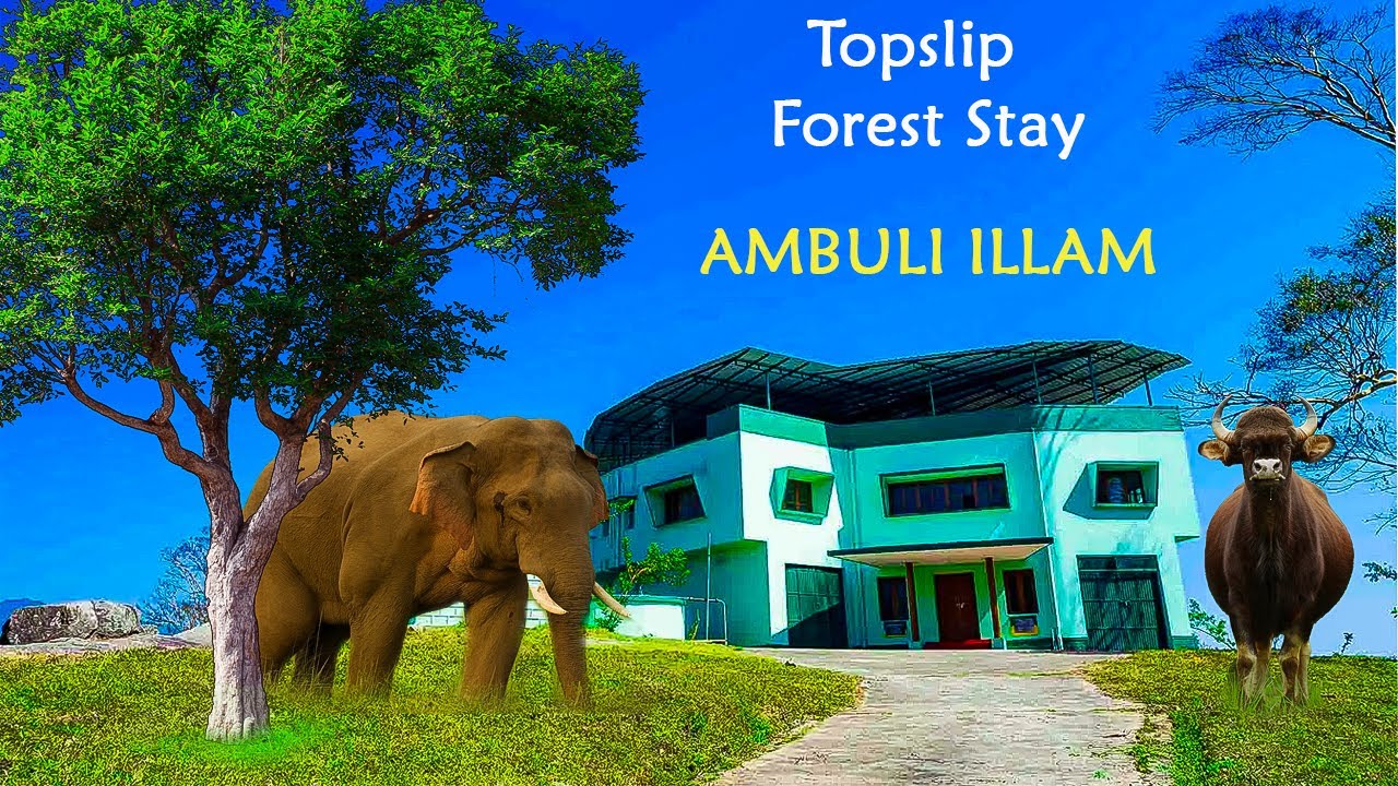 ആനമല കാടിനുള്ളിലെ ഇല്ലം | Ambulli Illam | Top Slip Forest Stay | 4K UHD