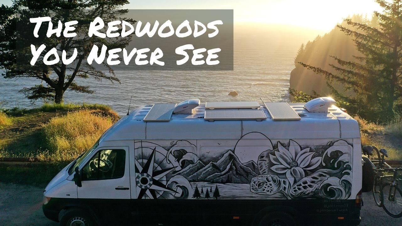 VAN LIFE Road Trip in California and Oregon Redwoods + Jedediah Smith Camp Ground  | FnA Van Life