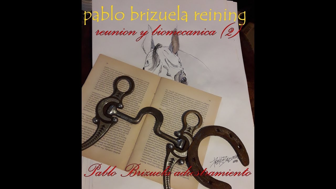 clínica de como reunir un caballo (2)  , con pablo brizuela