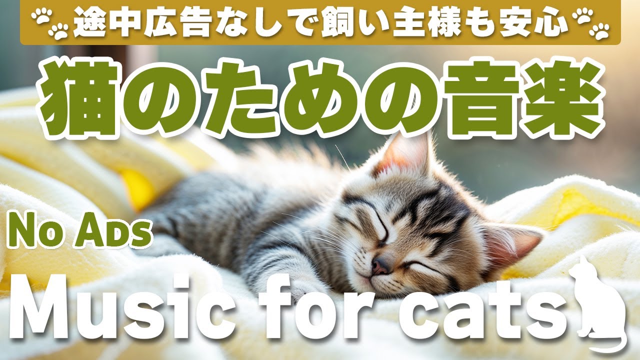 猫が落ち着く音楽/途中広告なしで安心/リラックス/12時間/cat relaxing music/No Ads/12 hours/Relaxing music for cats_vol.290