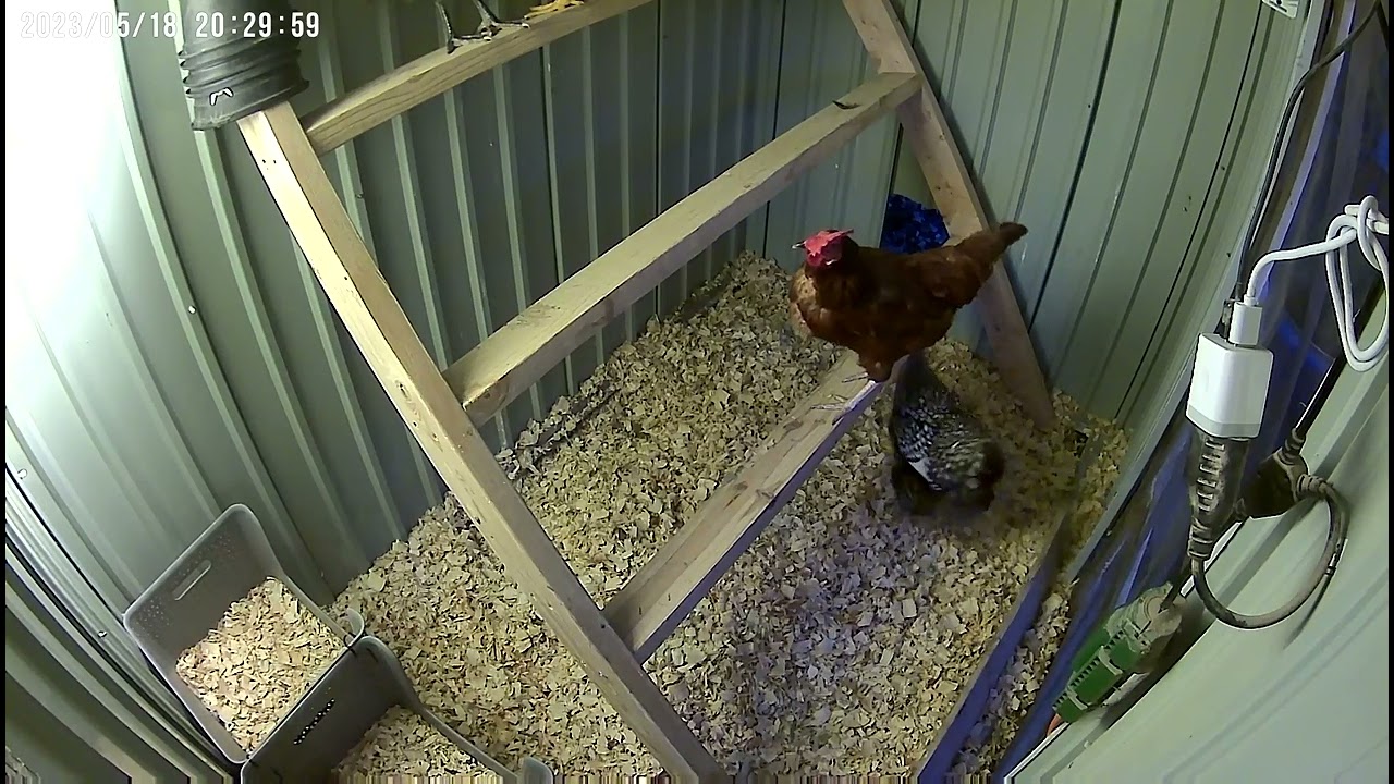 Chicklettes’ Take a Stand and Go To Bed Early, 5.18.23