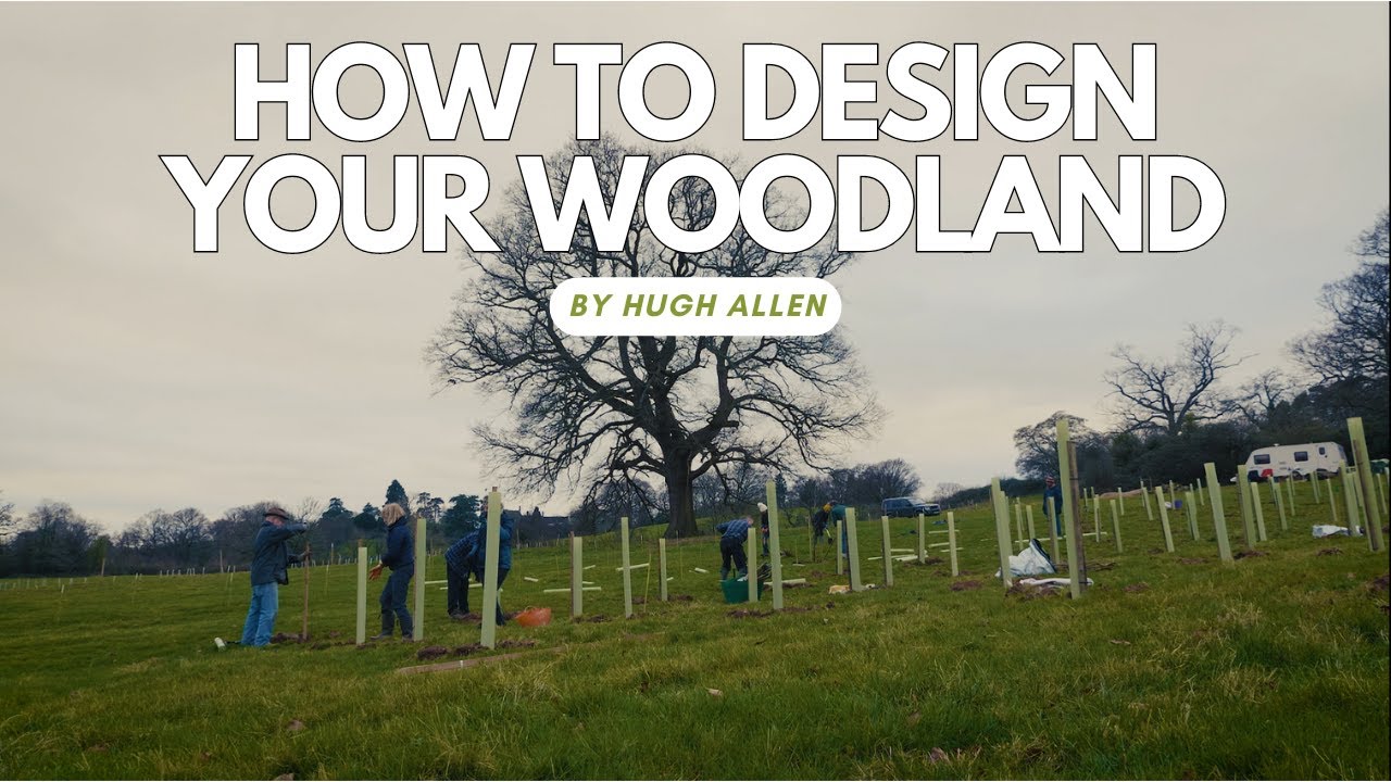 How to Design your Woodland