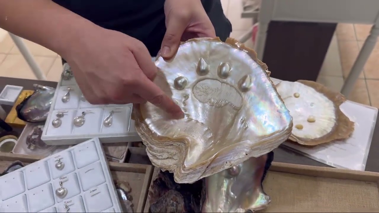 Pearl Jewellery Shopping (Farming in Phuket, Thailand) 