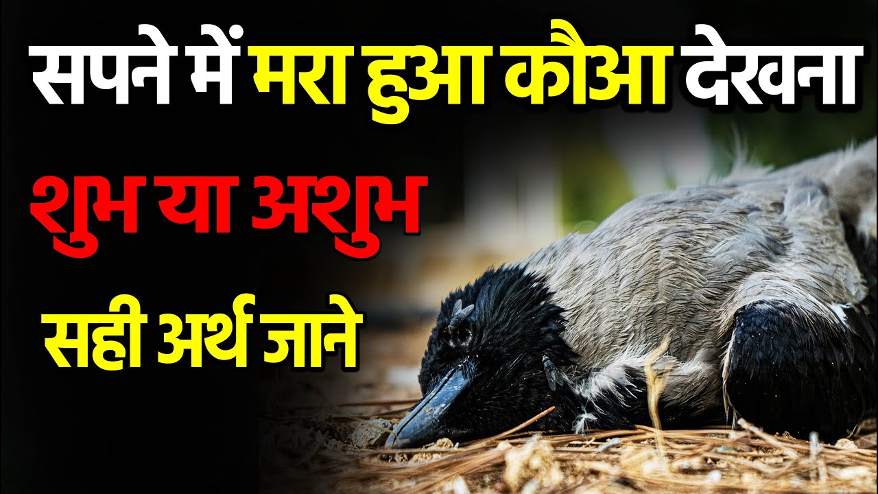 Sapne me mara hua coa dekhna | seeing dead crow in dreams |  sapne me mara hua kauwa dekhna