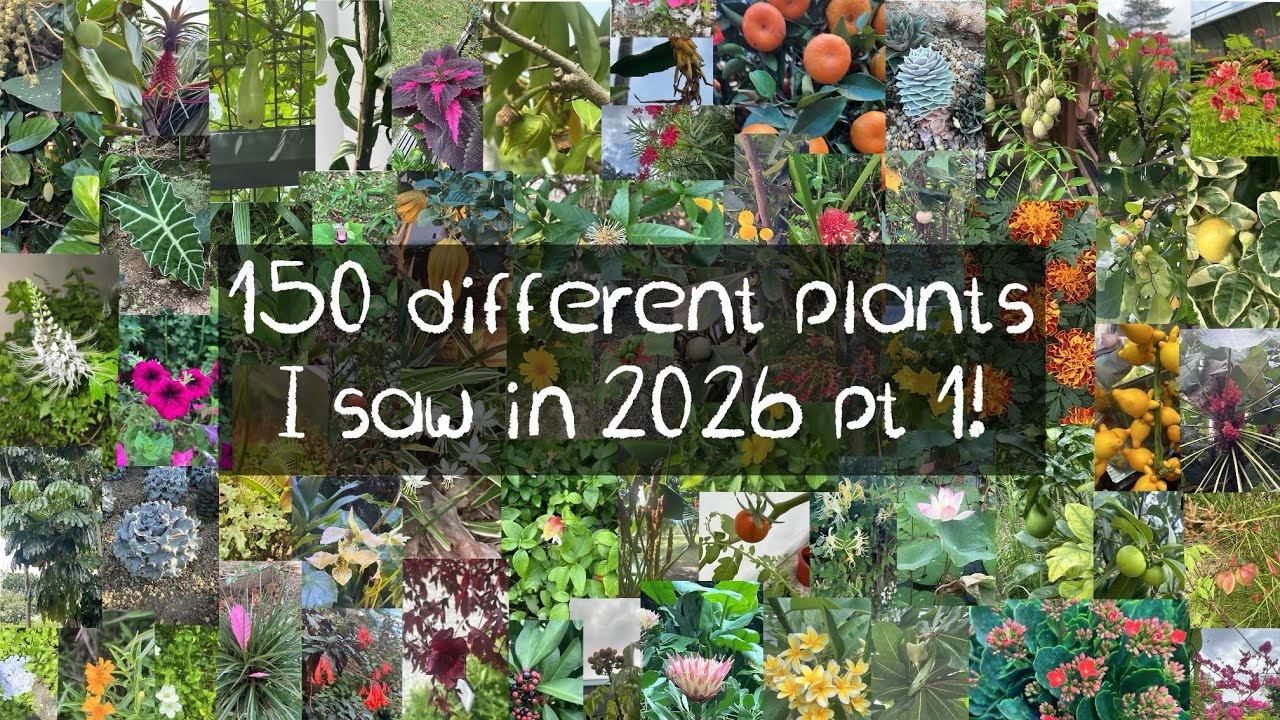 All 150 different Plants I saw in 2026 pt 1!