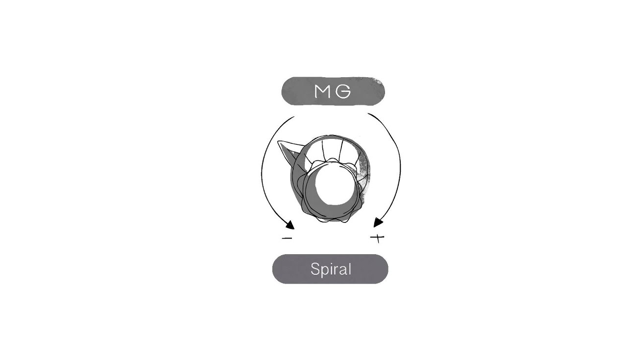 MG - Spiral