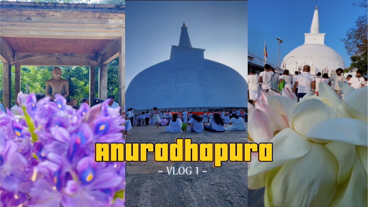අනුරාධපුරයේ ලස්සන දවසක් 🙏 #travel #srilanka #nature 